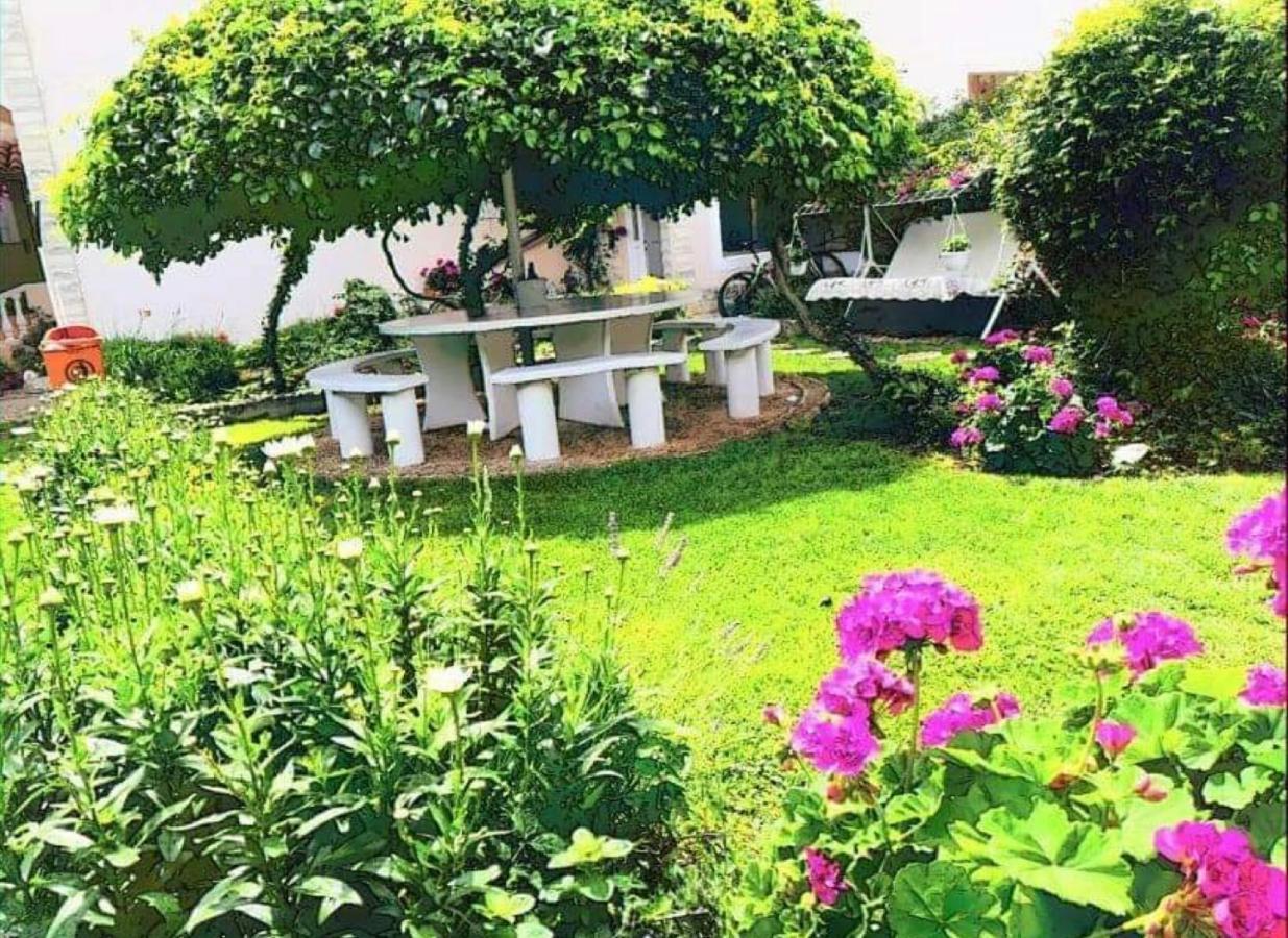 Apartments Esperanza Pašman Εξωτερικό φωτογραφία