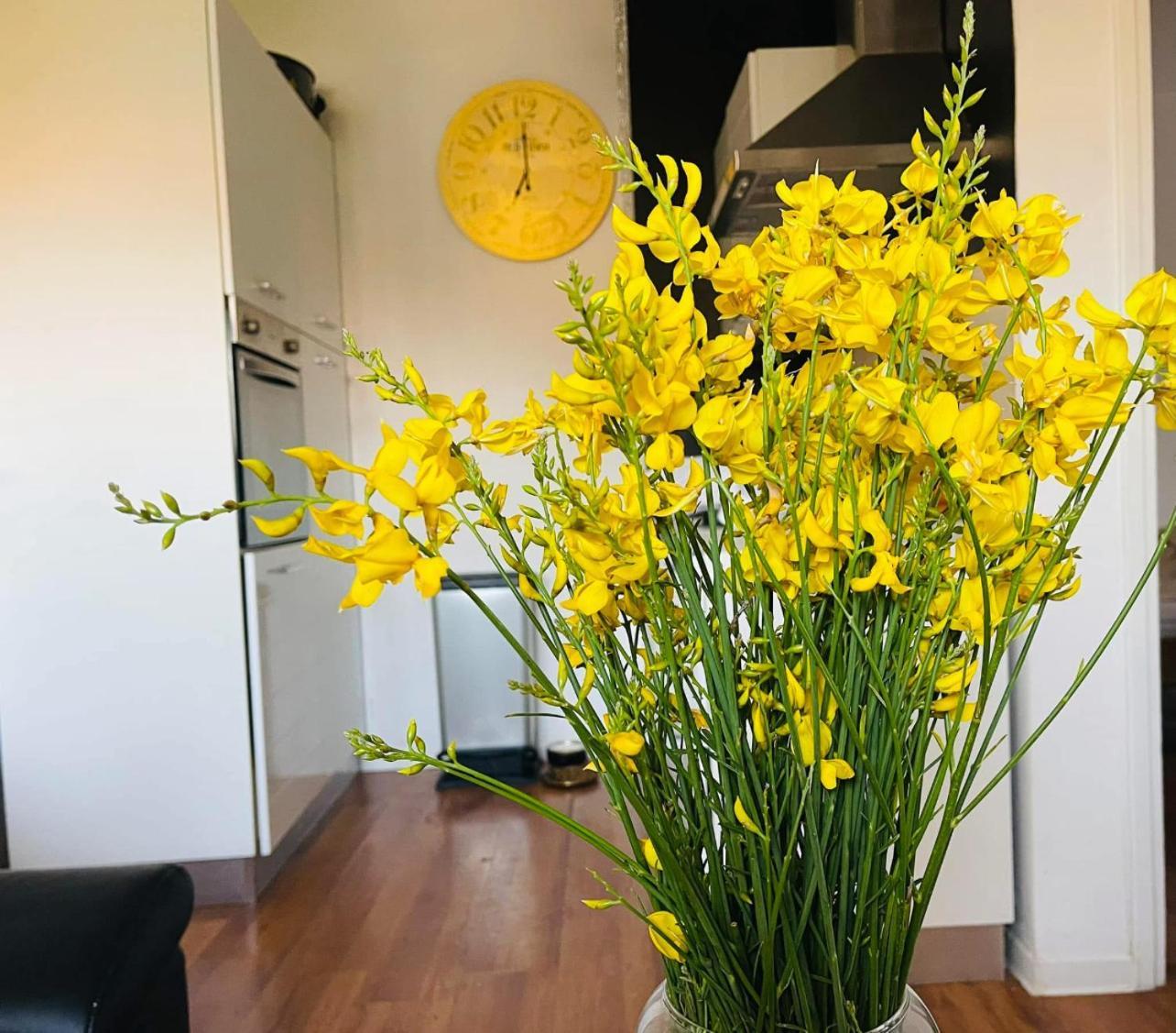 Apartments Esperanza Pašman Εξωτερικό φωτογραφία